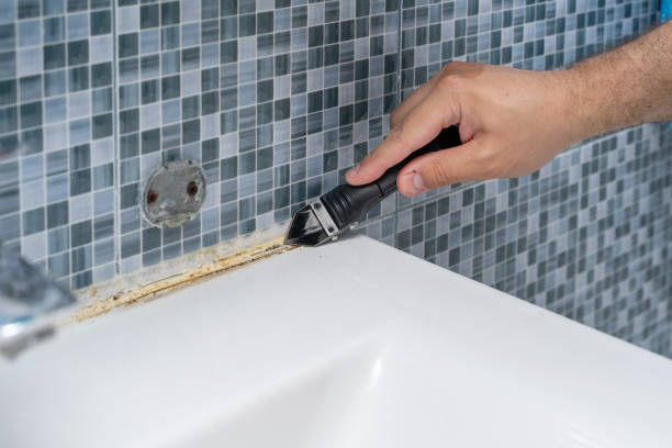  Ponchatou, LA Mold Removal Pros