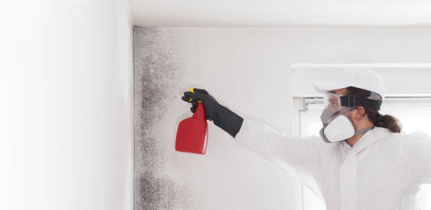 Best Residential Mold Removal  in Ponchatou, LA